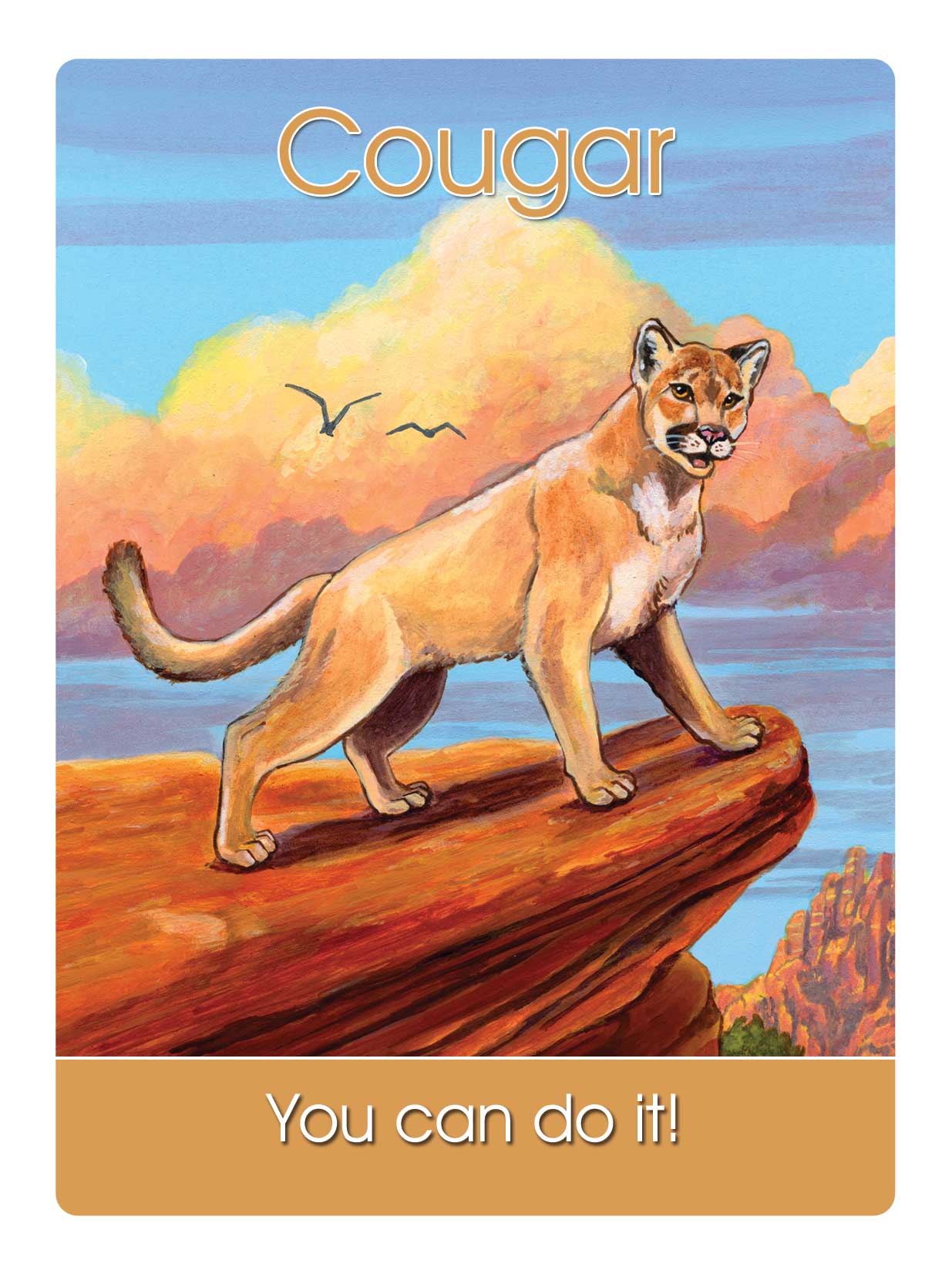 9) Cougar Says: You Can Do It! - Dr. Steven Farmer