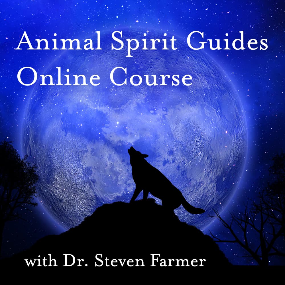 Animal Spirit Guides Online Course - Dr. Steven Farmer