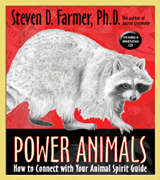 power-animals-book-cd-160