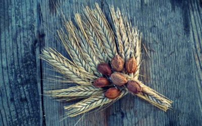 A Look at Lammas and Lughnasadh –  Two Festivals. One Day.