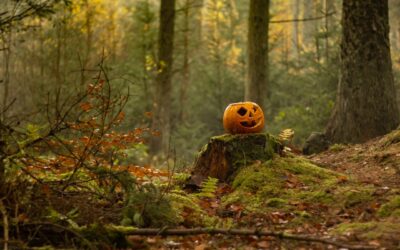Discover the True Meaning of Samhain / Hallowe’en