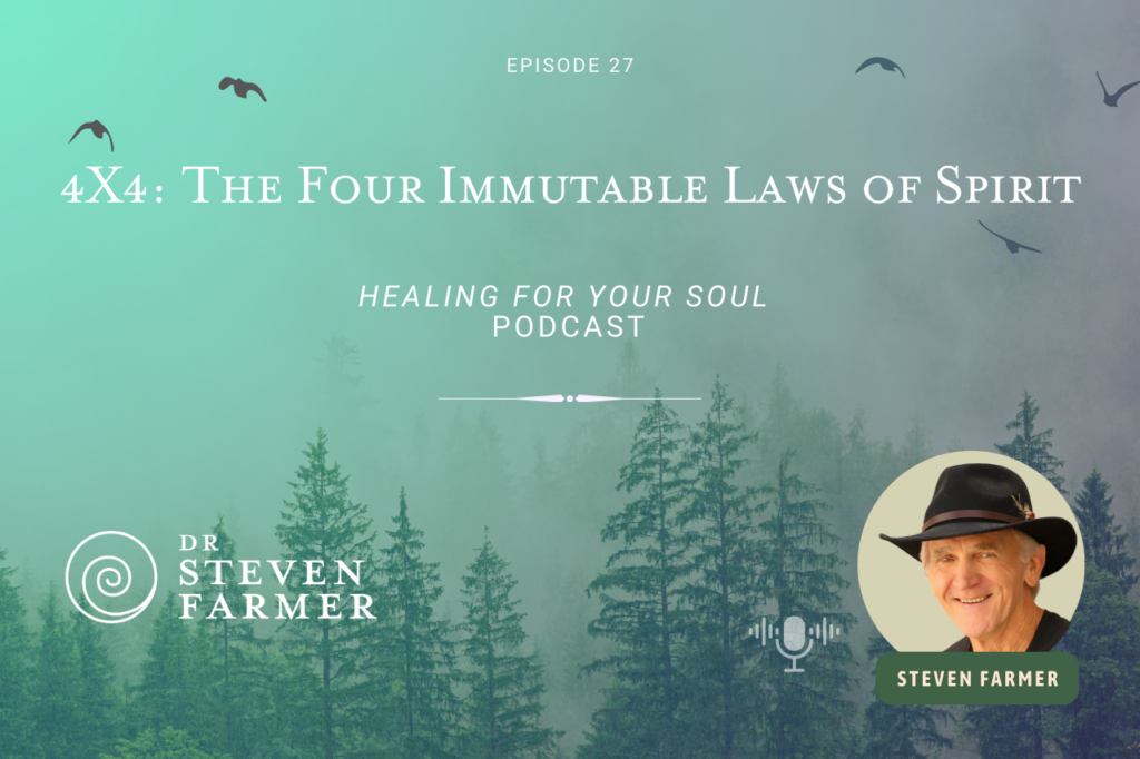 Steven Farmer Podcast - 4X4: The Four Immutable Laws of Spirit