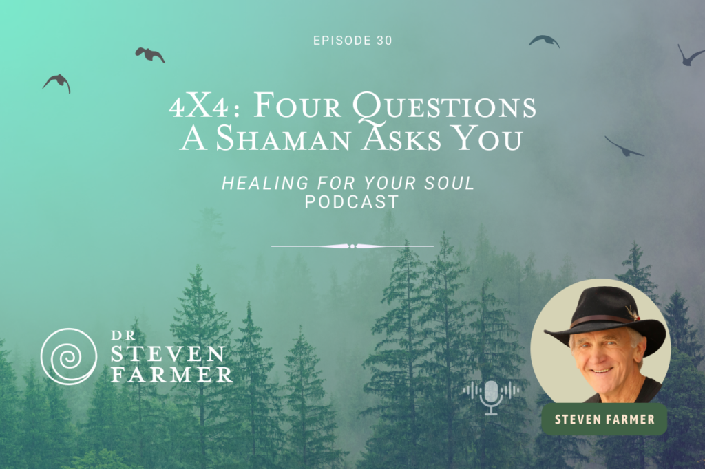 Steven Farmer Podcast - 4X4: Four Questions A Shaman Asks You